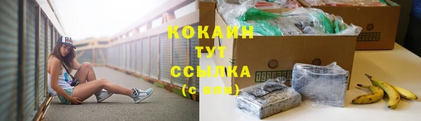мяу мяу кристалл Арсеньев