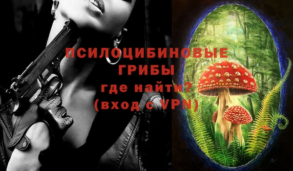 мяу мяу кристалл Арсеньев