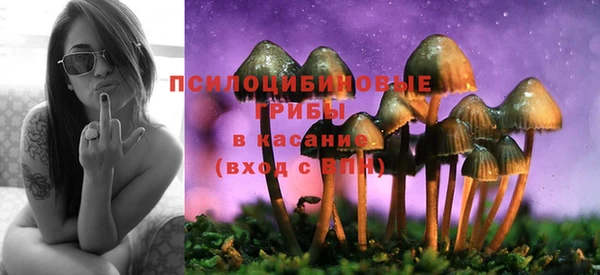 2c-b Армянск